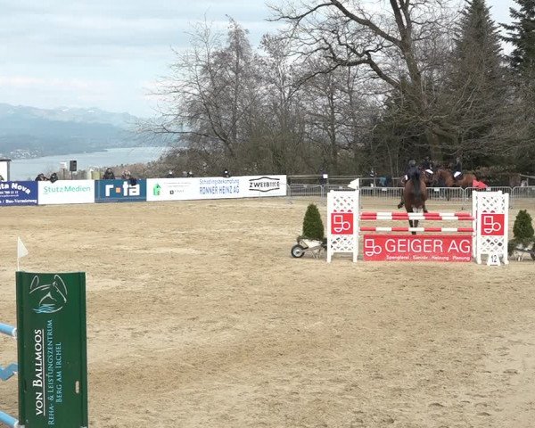 Reitturnier Wädenswil 2021