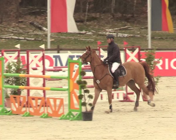 Reitturnier Westergellersen 2021