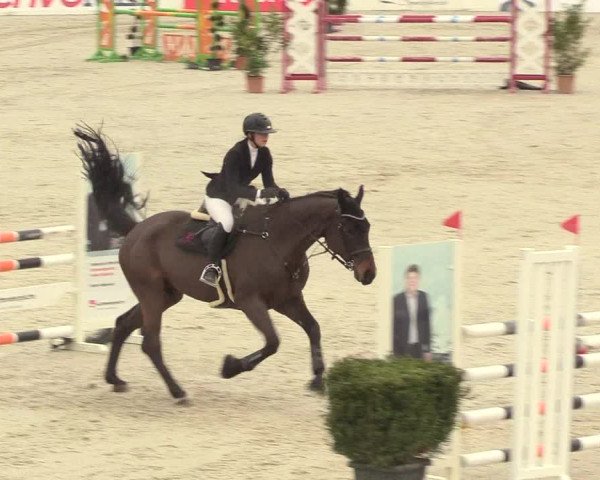 Reitturnier Westergellersen 2021