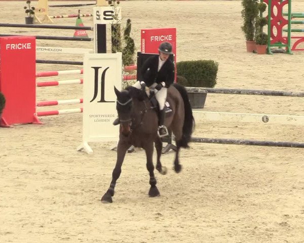 Reitturnier Westergellersen 2021