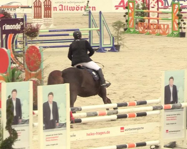 Reitturnier Westergellersen 2021