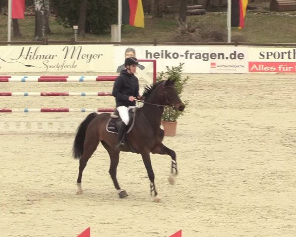 Reitturnier Westergellersen 2021