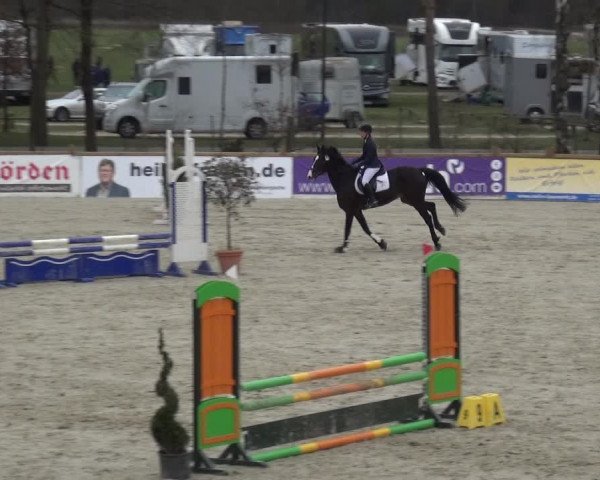 Reitturnier Westergellersen 2021