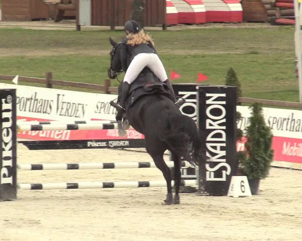 Reitturnier Westergellersen 2021