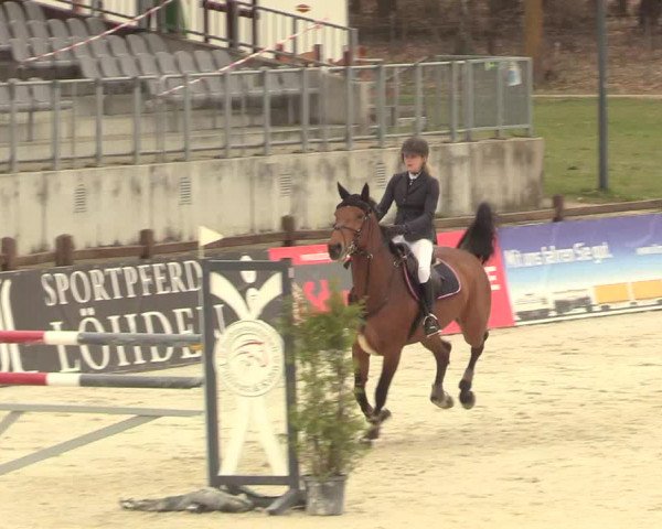 Reitturnier Westergellersen 2021