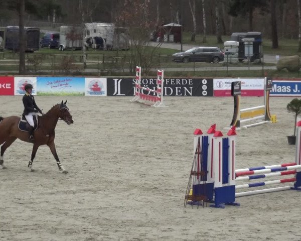 Reitturnier Westergellersen 2021