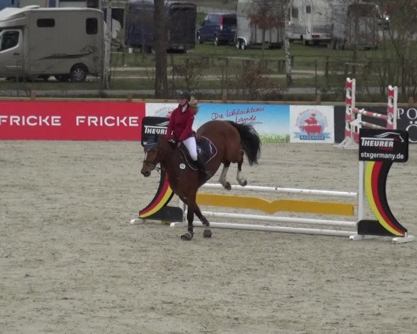 Reitturnier Westergellersen 2021