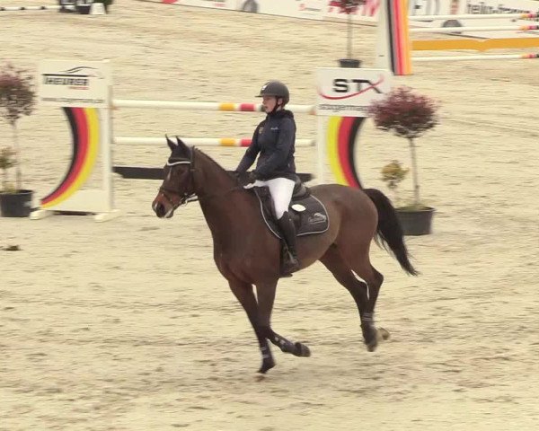 Reitturnier Westergellersen 2021