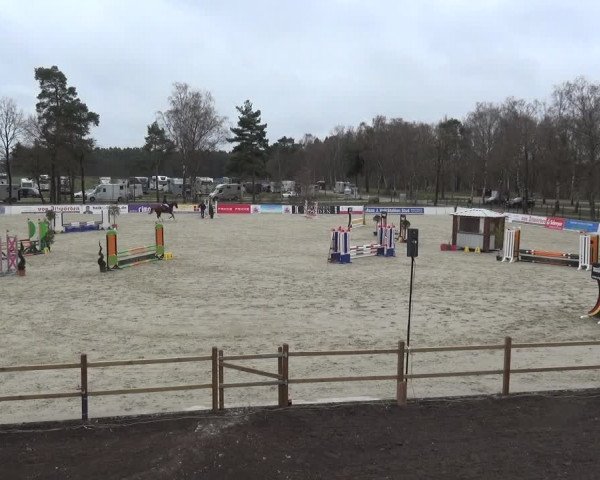Reitturnier Westergellersen 2021