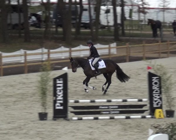 Reitturnier Westergellersen 2021