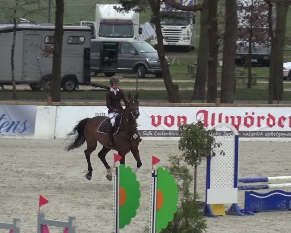 Reitturnier Westergellersen 2021