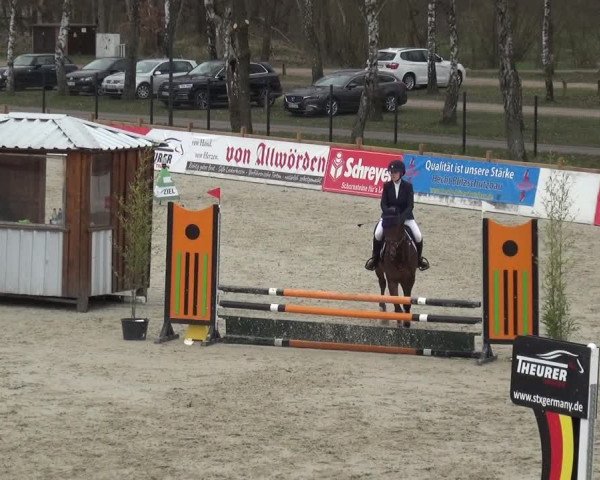 Reitturnier Westergellersen 2021