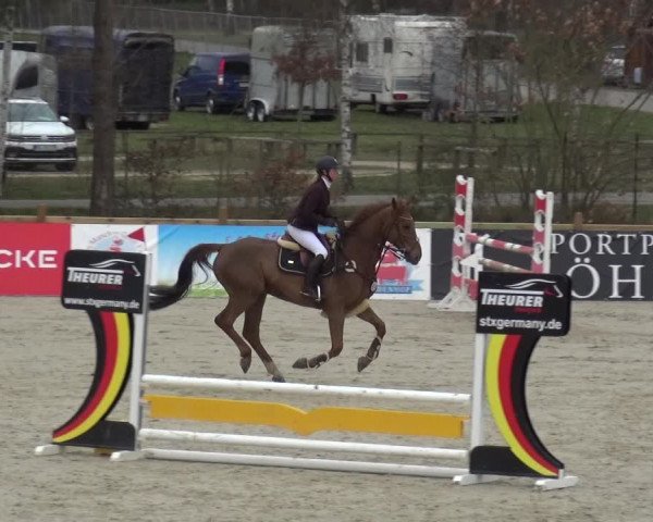 Reitturnier Westergellersen 2021