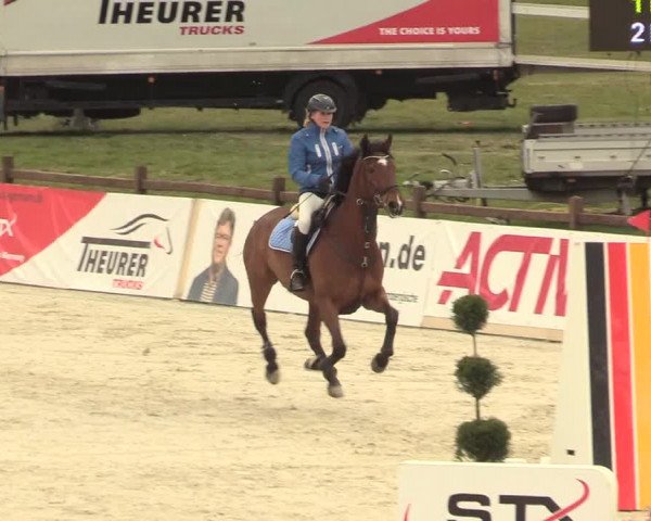 Reitturnier Westergellersen 2021