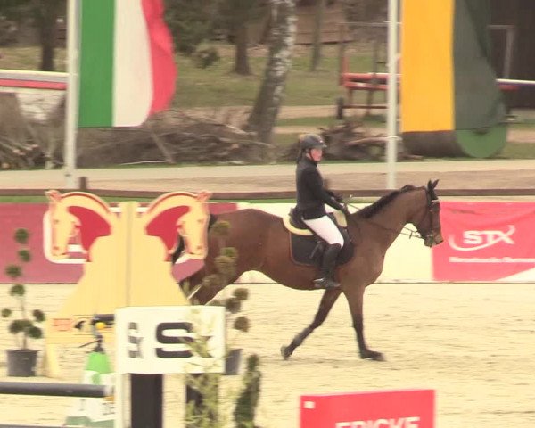 Reitturnier Westergellersen 2021