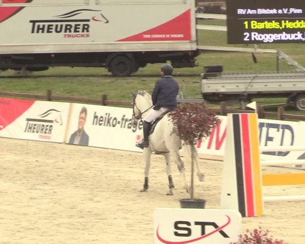 Reitturnier Westergellersen 2021