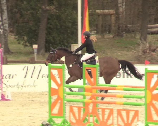 Reitturnier Westergellersen 2021