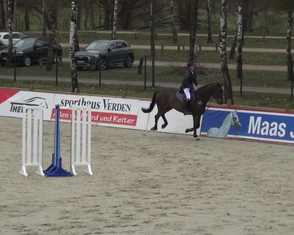 Reitturnier Westergellersen 2021
