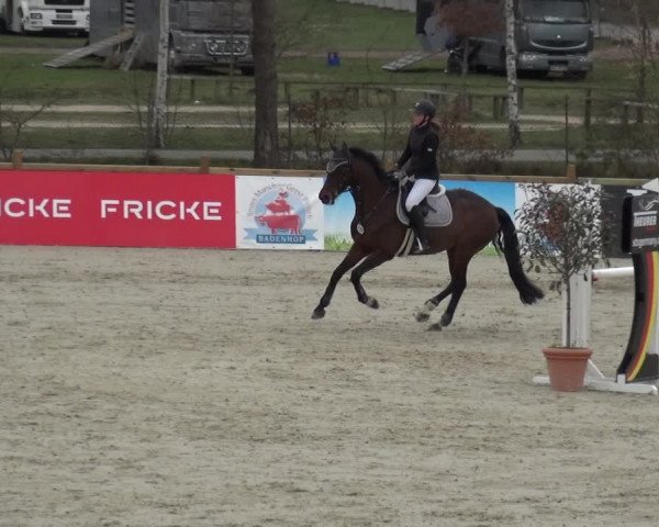 Reitturnier Westergellersen 2021
