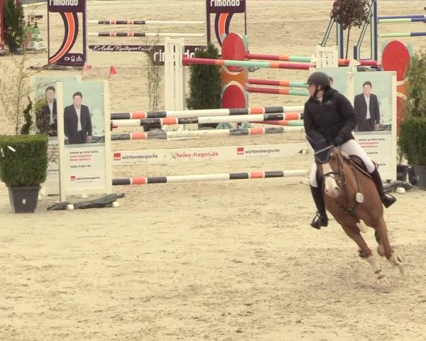 Reitturnier Westergellersen 2021