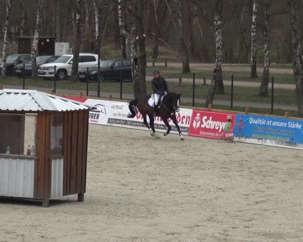 Reitturnier Westergellersen 2021