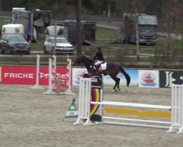 Reitturnier Westergellersen 2021