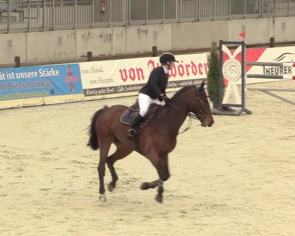 Reitturnier Westergellersen 2021