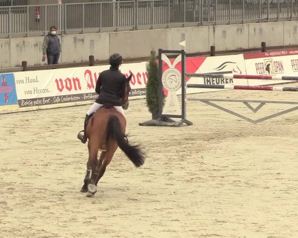 Reitturnier Westergellersen 2021
