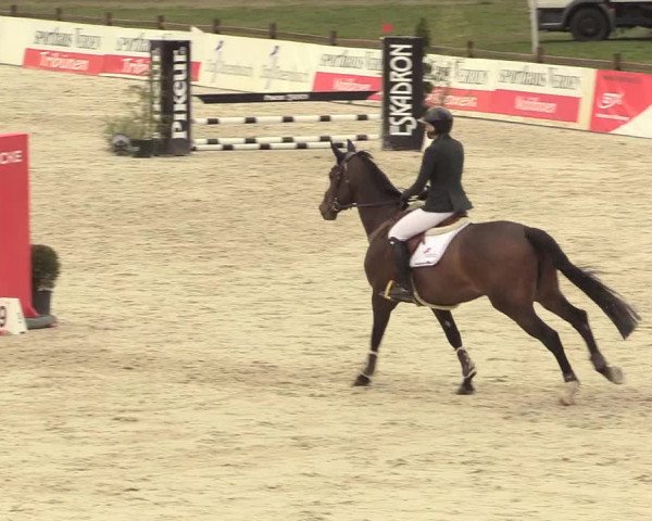 Reitturnier Westergellersen 2021