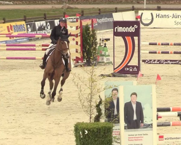 Reitturnier Westergellersen 2021