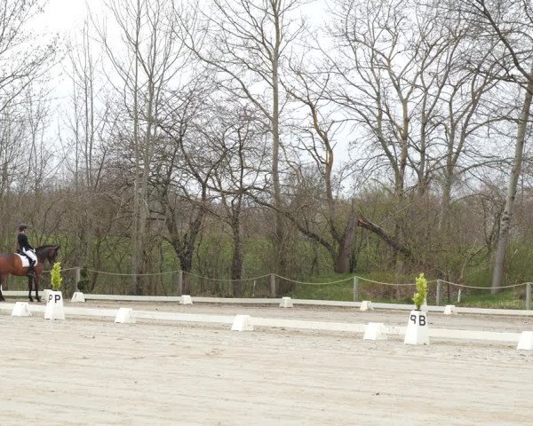 Reitturnier Scharnebeck 2021