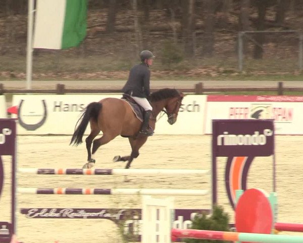 Reitturnier Westergellersen 2021