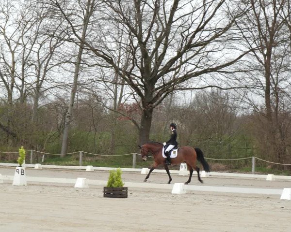 Reitturnier Scharnebeck 2021