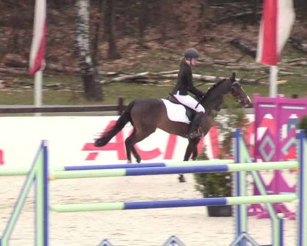 Reitturnier Westergellersen 2021
