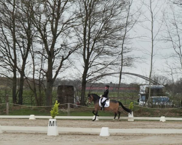 Reitturnier Scharnebeck 2021