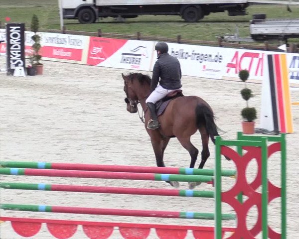 Reitturnier Westergellersen 2021