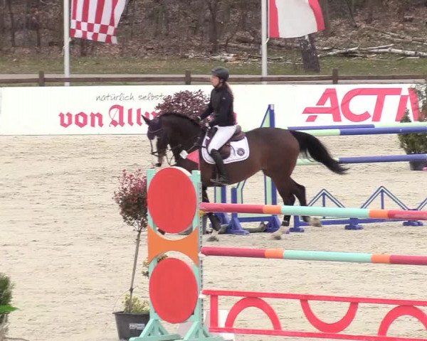 Reitturnier Westergellersen 2021