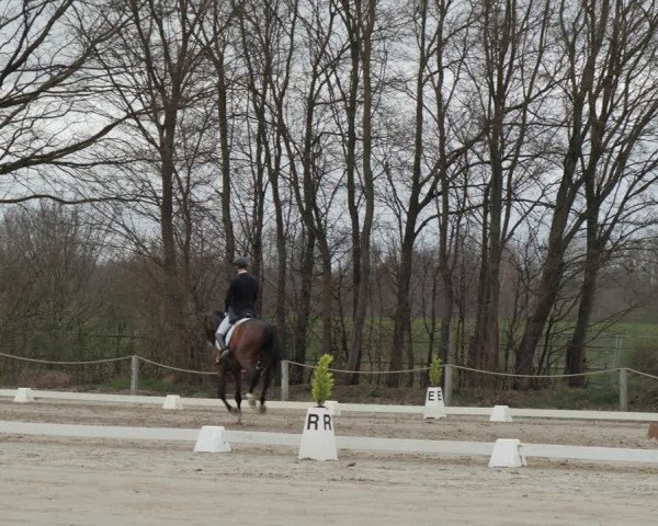 Reitturnier Scharnebeck 2021