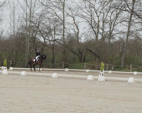 Reitturnier Scharnebeck 2021