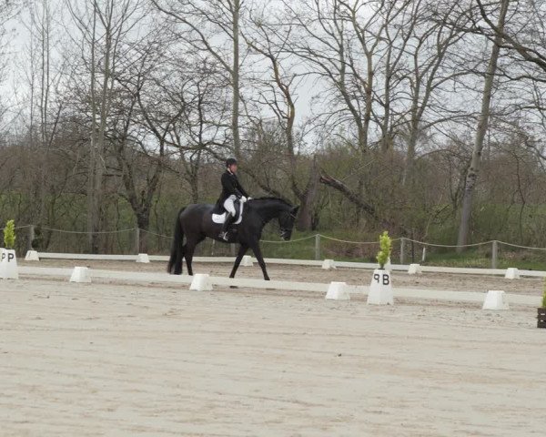 Reitturnier Scharnebeck 2021