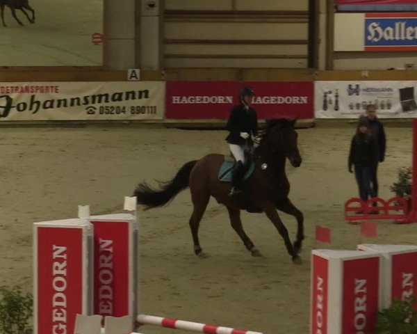 Steinhagen Classics 2021