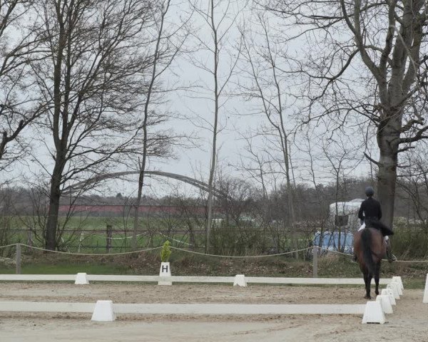 Reitturnier Scharnebeck 2021