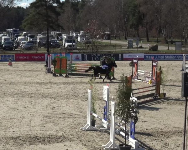 Reitturnier Westergellersen 2021