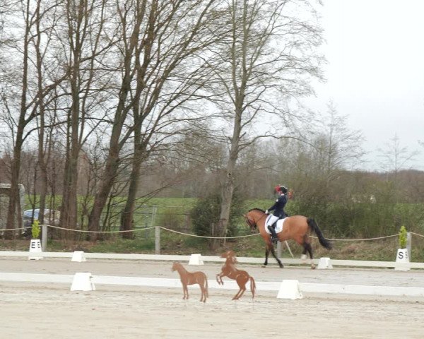Reitturnier Scharnebeck 2021