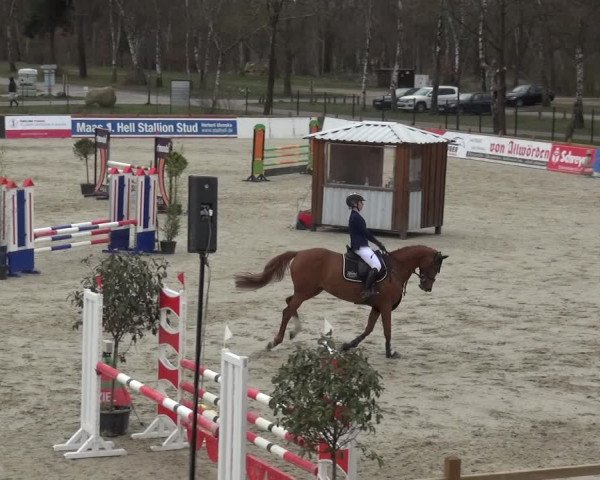 Reitturnier Westergellersen 2021