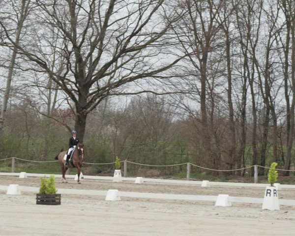 Reitturnier Scharnebeck 2021