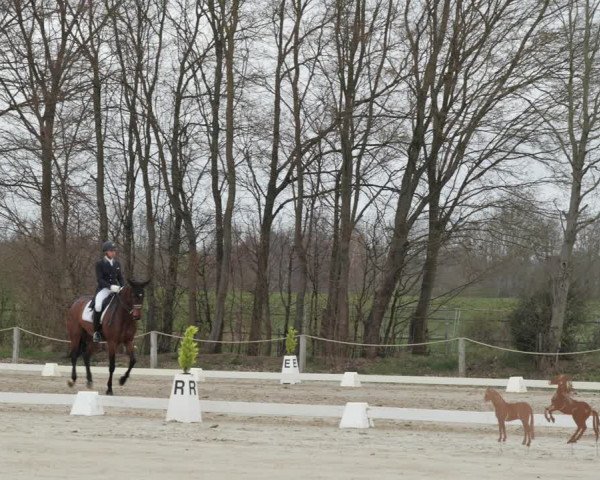 Reitturnier Scharnebeck 2021