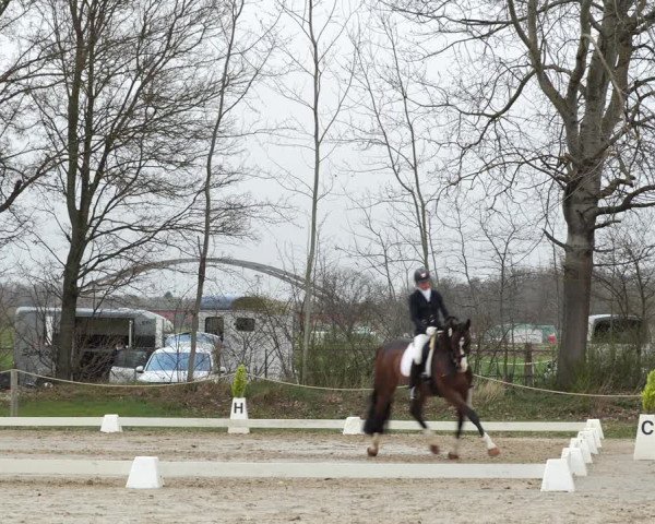 Reitturnier Scharnebeck 2021