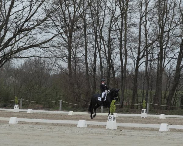 Reitturnier Scharnebeck 2021