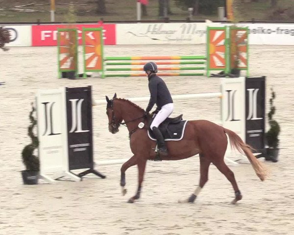 Reitturnier Westergellersen 2021